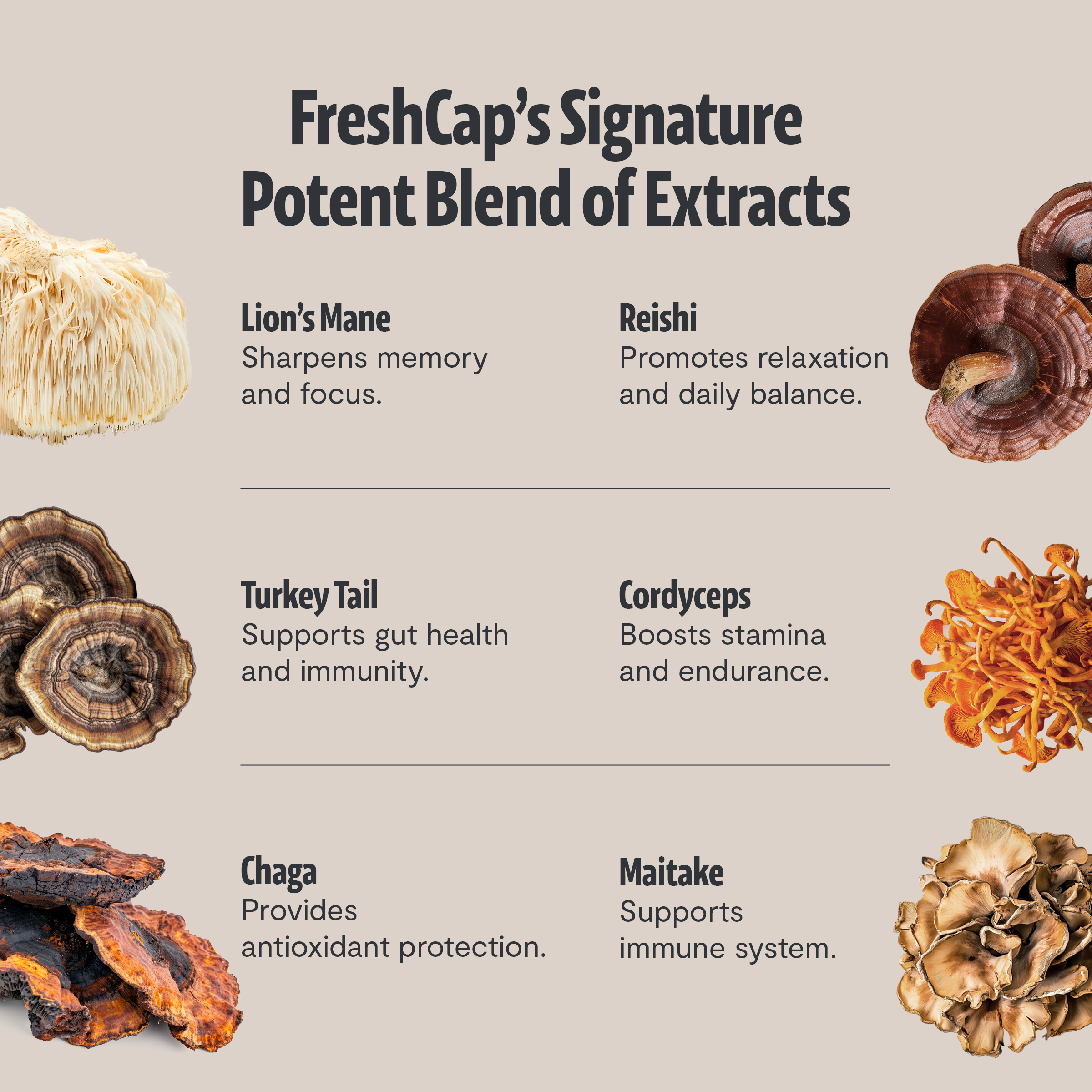 Ultimate Mushroom Coffee