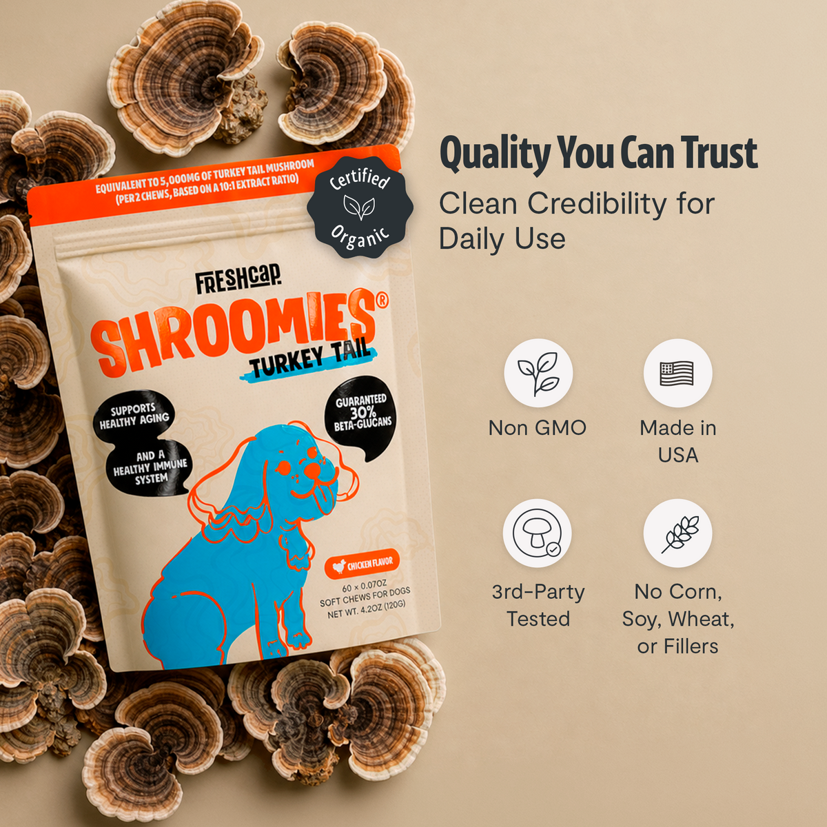Shroomies Turkey Tail Mushroom Chews For Dogs