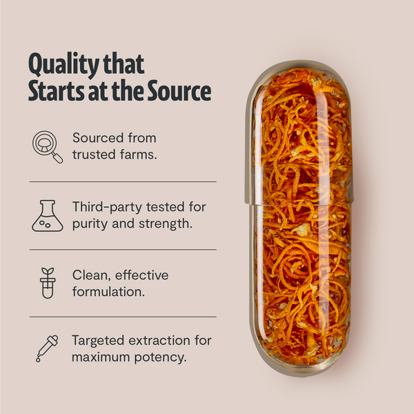Cordyceps Mushroom Extract Capsules