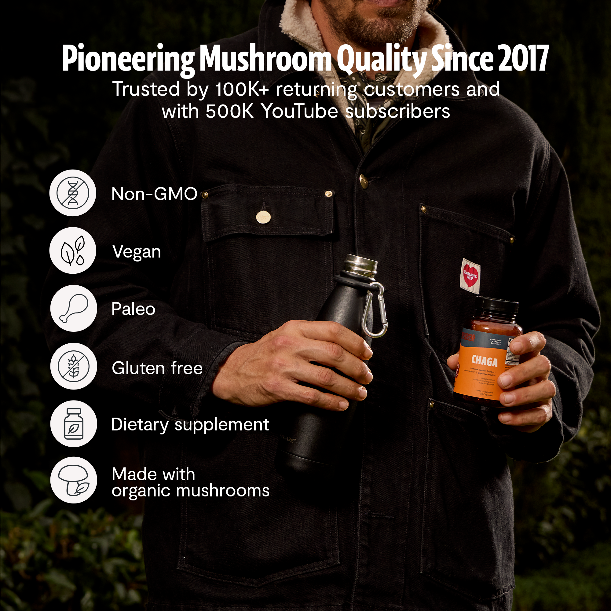 Chaga Mushroom Extract Capsules