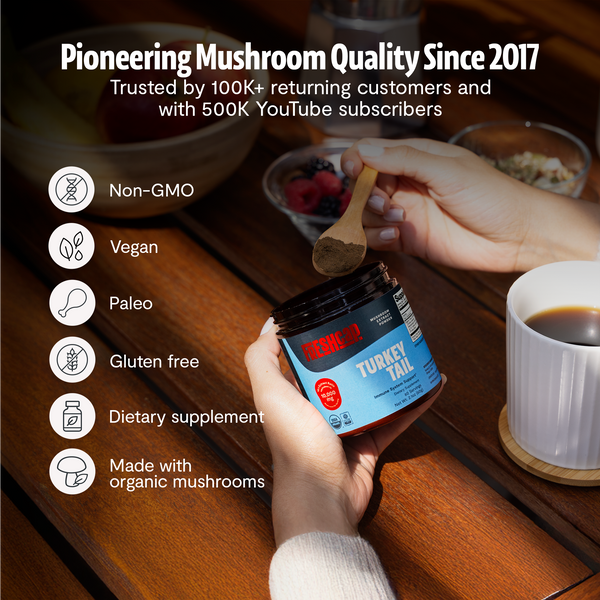 Turkey Tail Mushroom Extract Powder