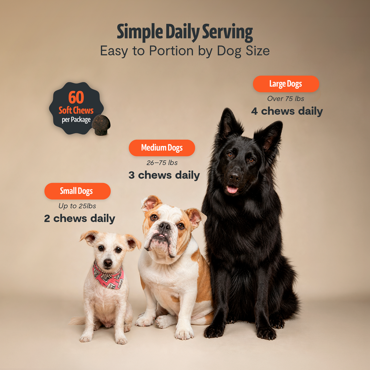 Shroomies Turkey Tail Mushroom Chews For Dogs