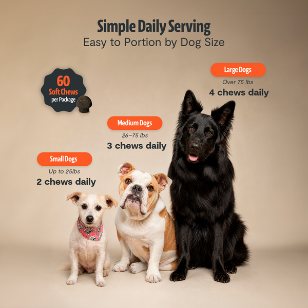 Shroomies Turkey Tail Mushroom Chews For Dogs