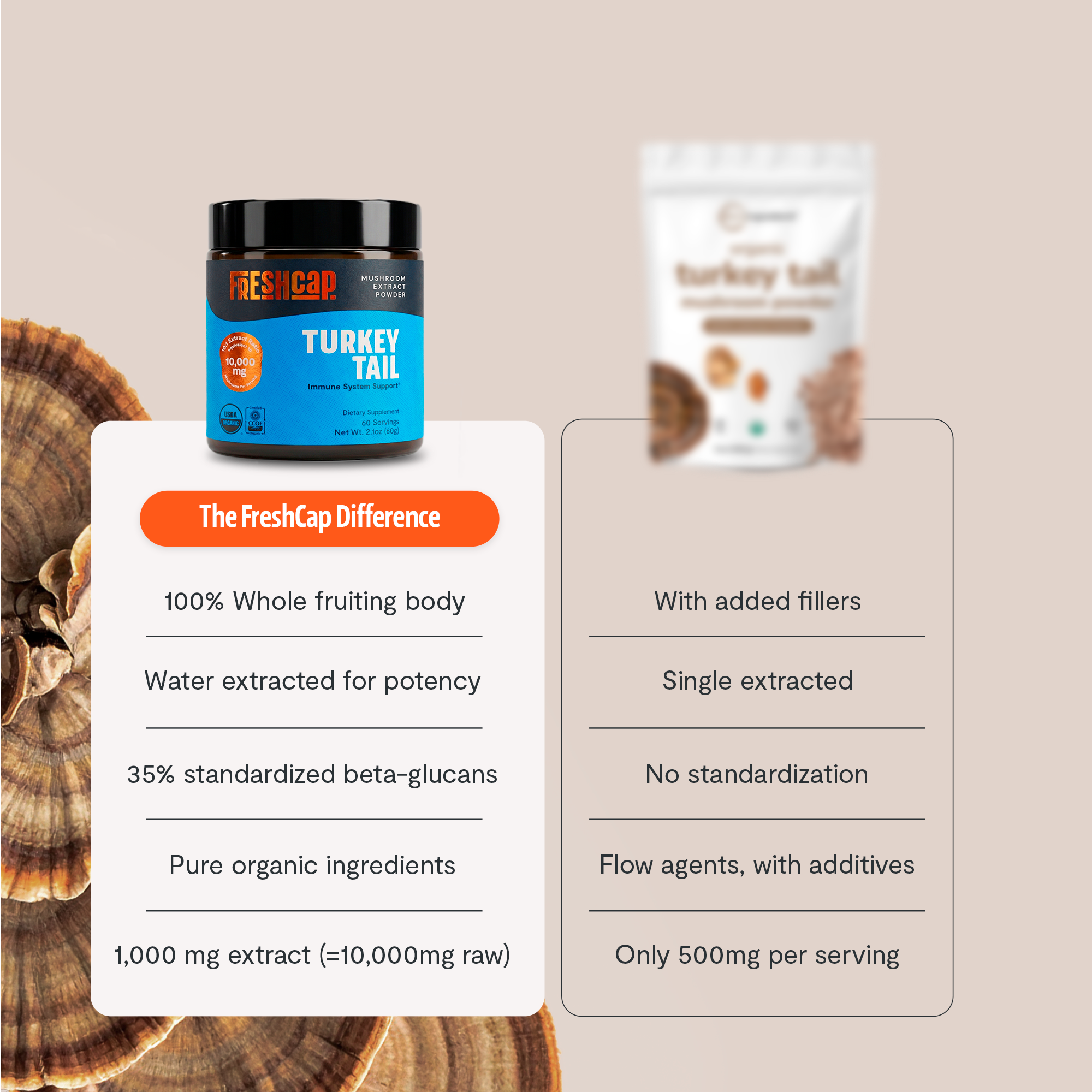 Turkey Tail Mushroom Extract Powder