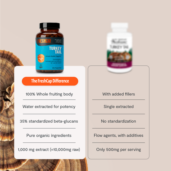 Turkey Tail Mushroom Extract Capsules