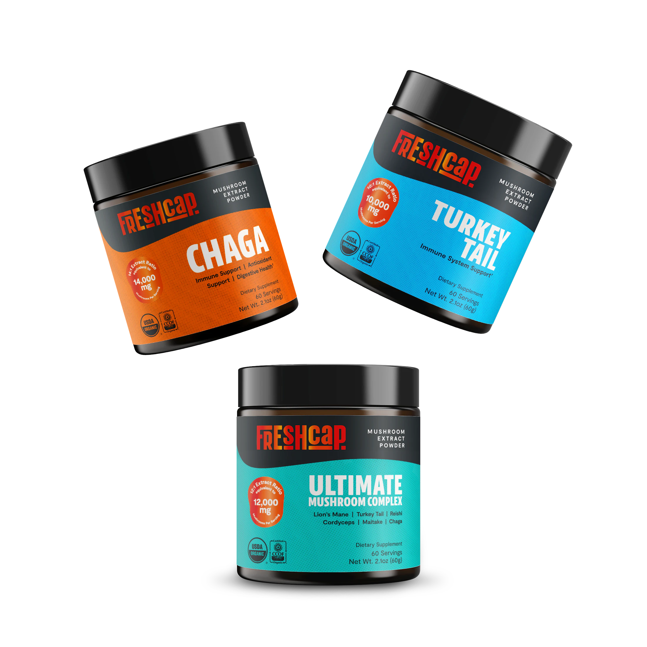 Fortify your Immune System