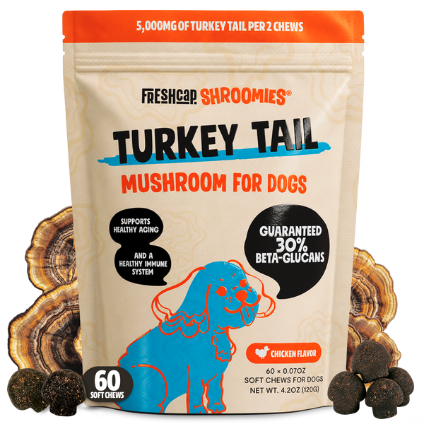Shroomies Turkey Tail Mushroom Chews For Dogs
