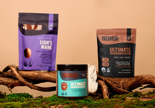 Mushroom Starter Bundle