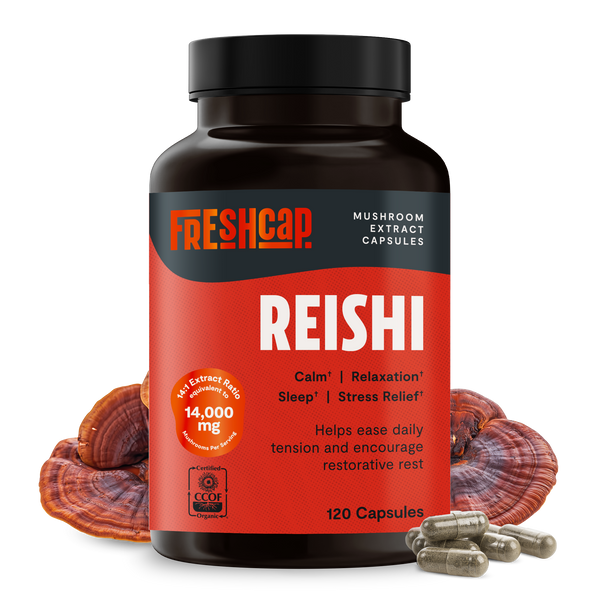 Reishi Mushroom Extract Capsules