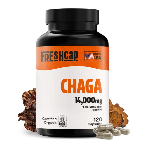 Chaga Mushroom Extract Capsules