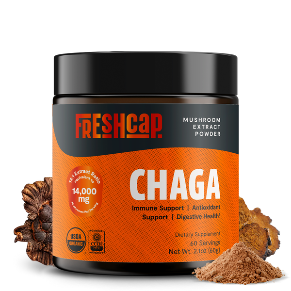 Chaga Mushroom Extract Powder