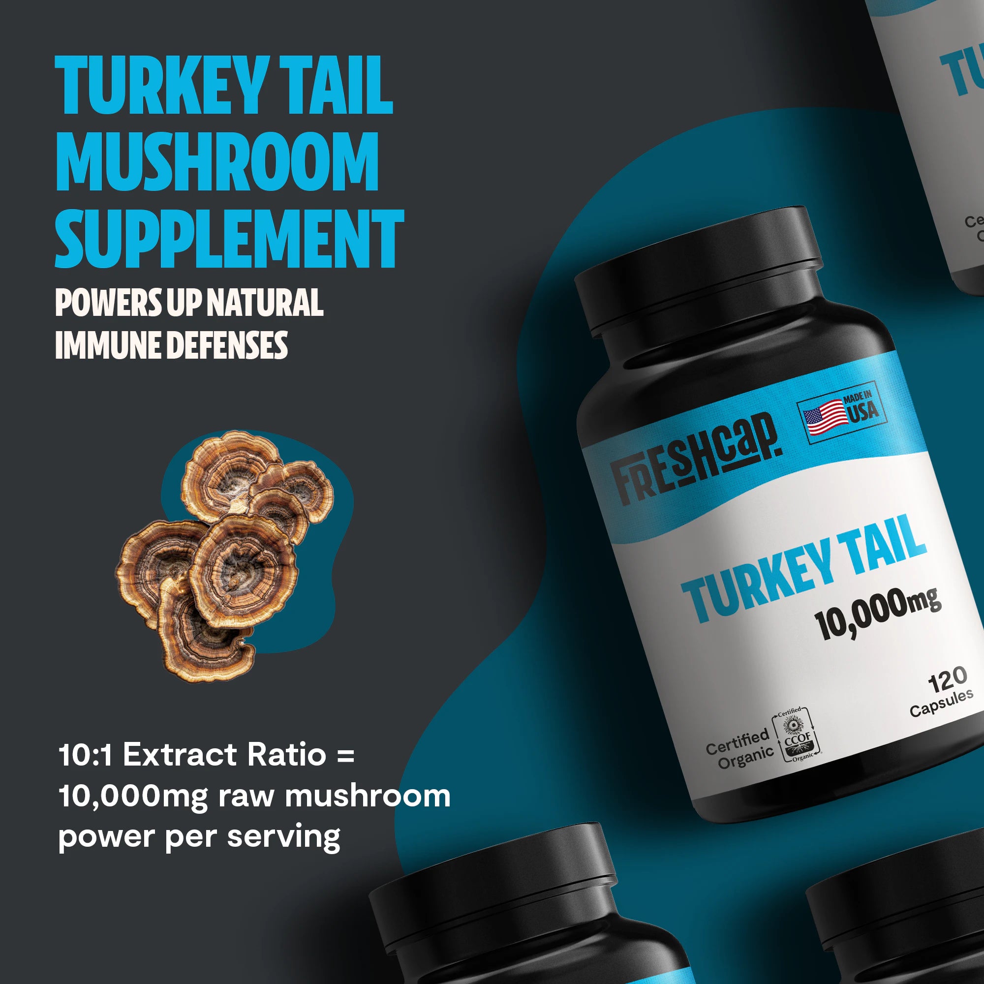 Turkey Tail Mushroom Extract Capsules