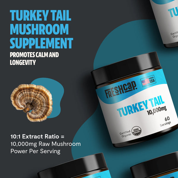 Turkey Tail Mushroom Extract Powder