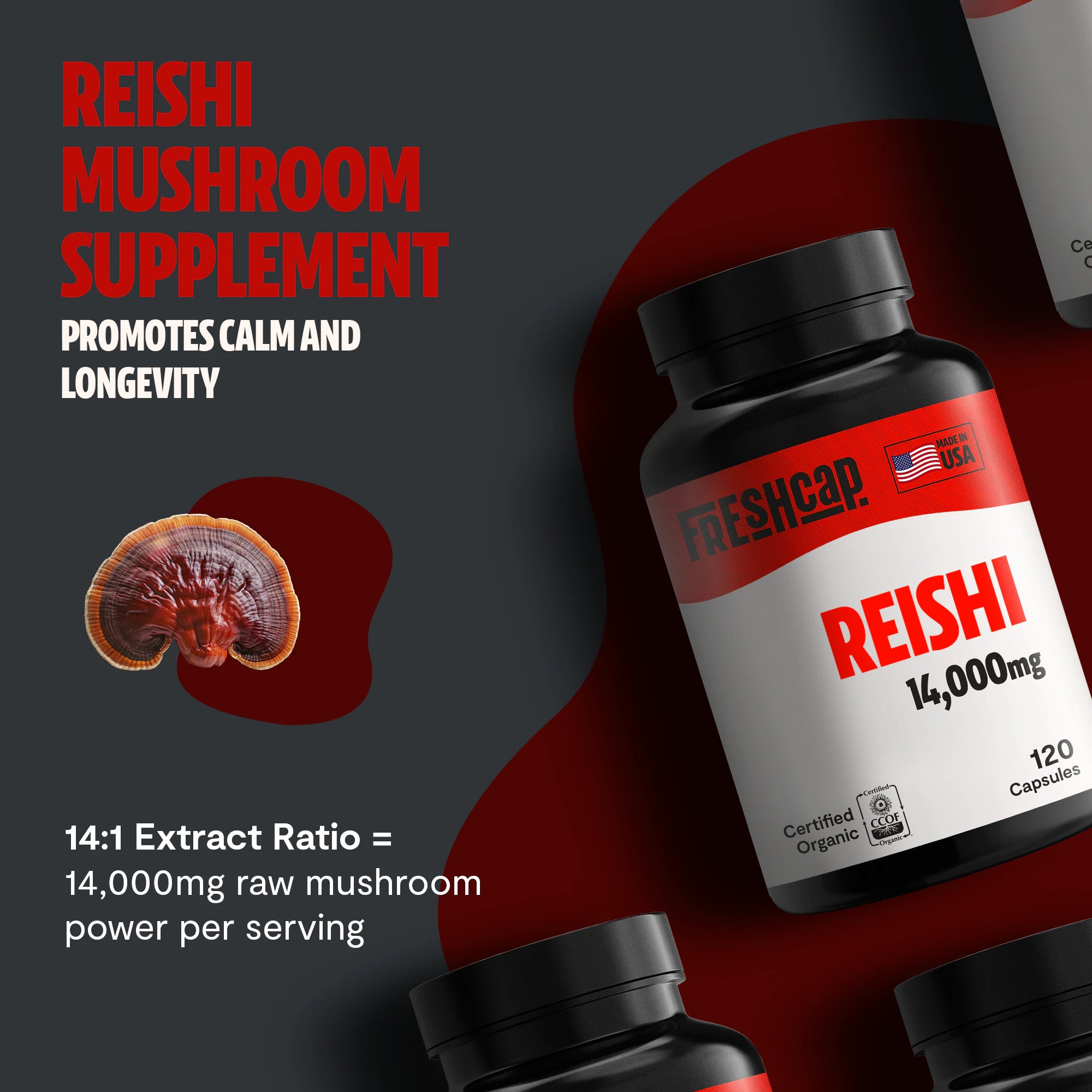 Reishi Mushroom Extract Capsules