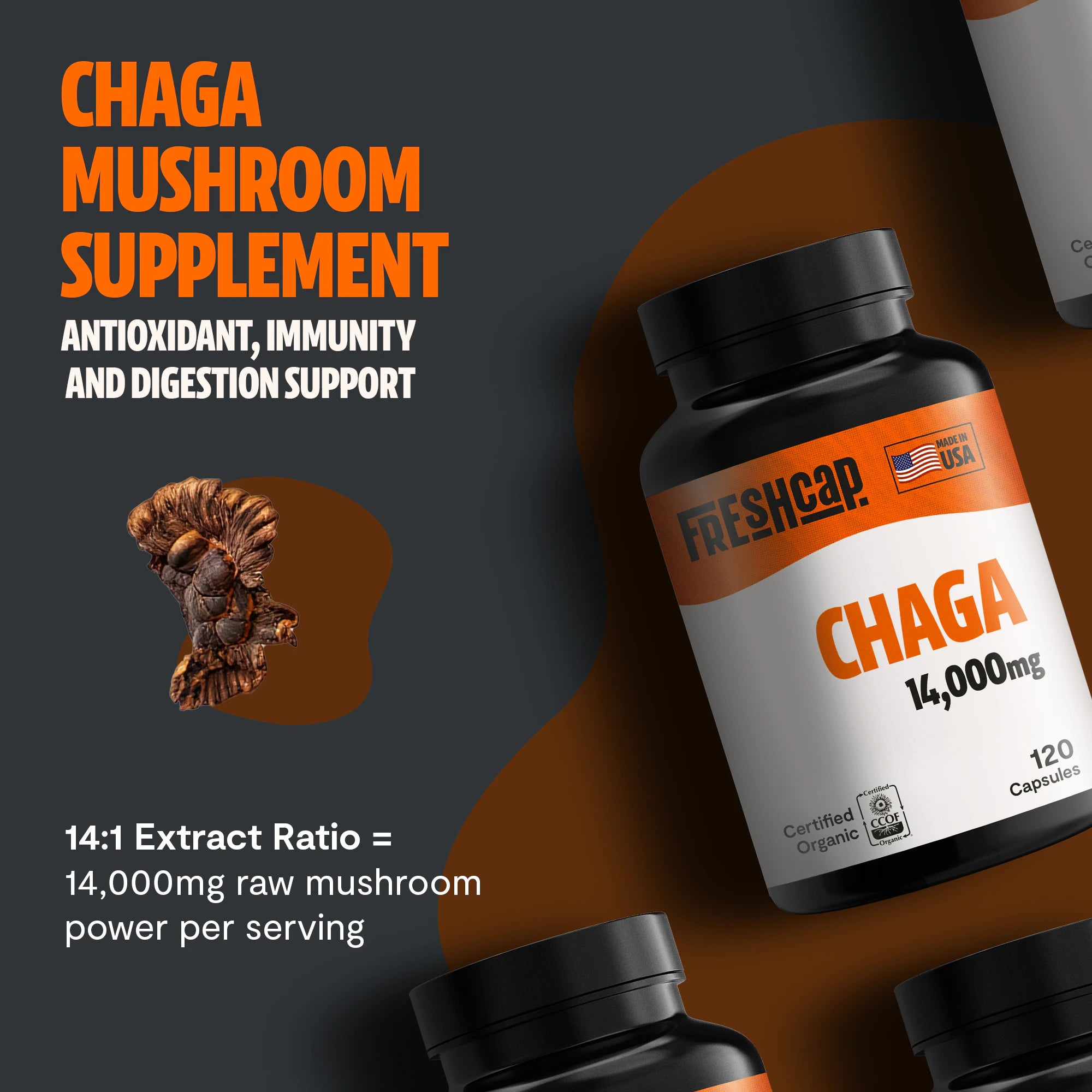 Chaga Mushroom Extract Capsules