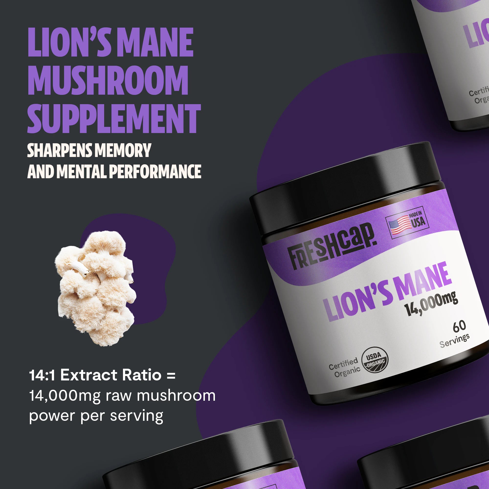 Lion's Mane Mushroom Extract Powder