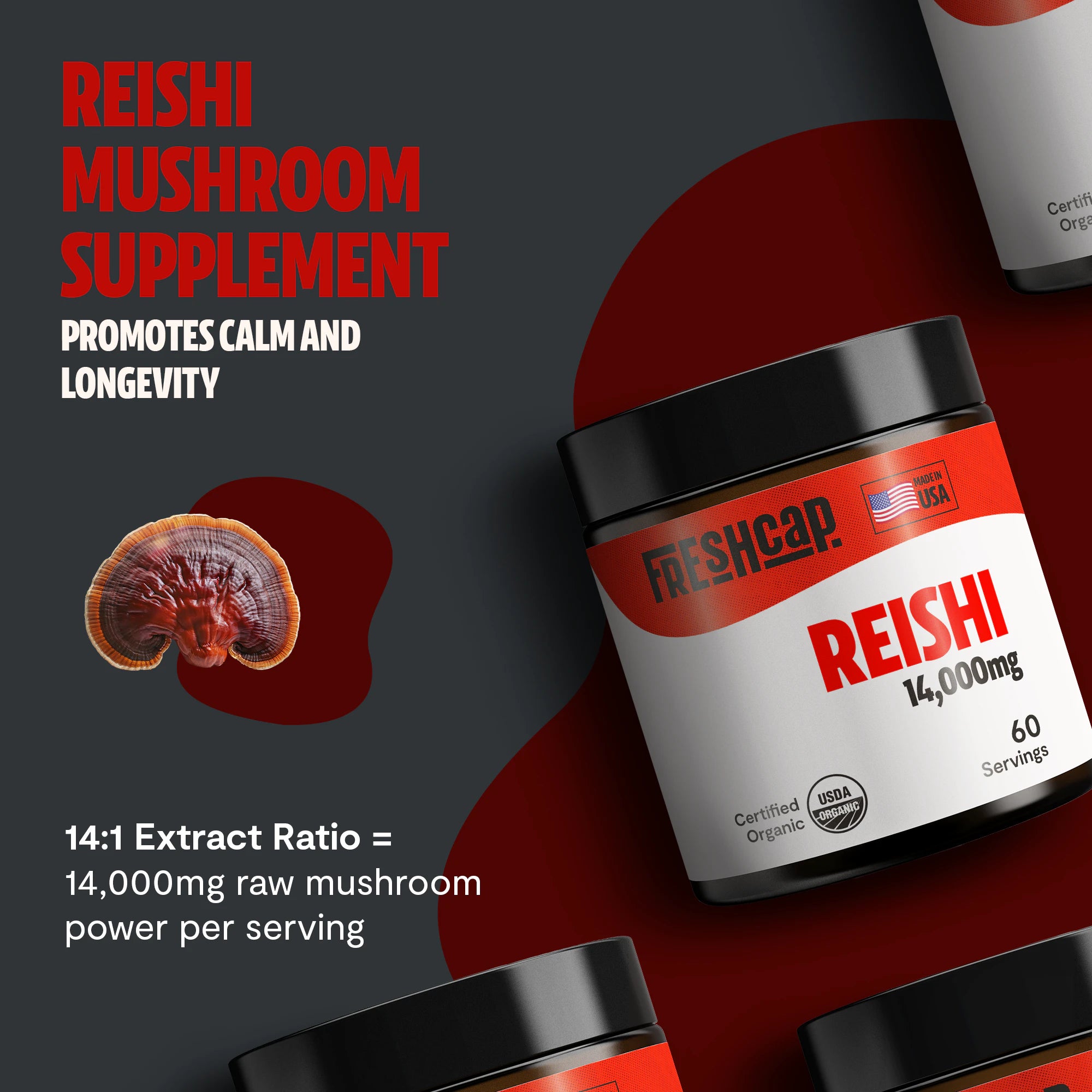 Reishi Mushroom Extract Powder