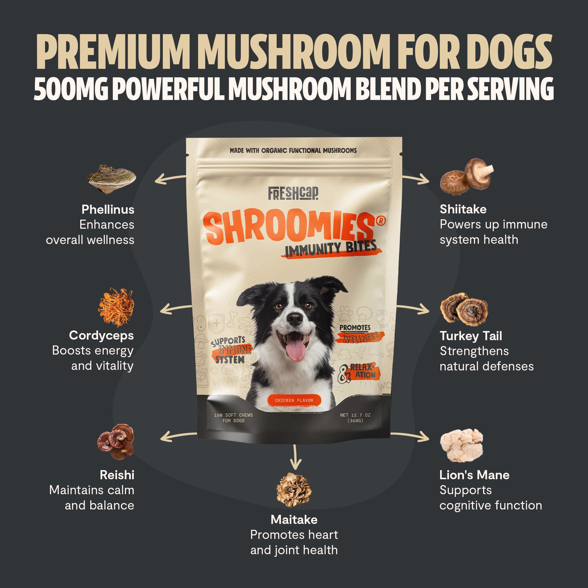 Shroomies® - Mushrooms For Dogs