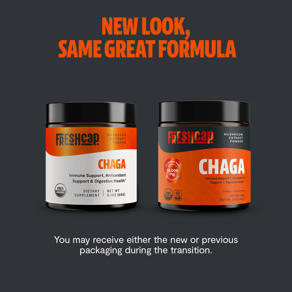 Chaga Mushroom Extract Powder