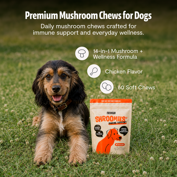 Shroomies Mushroom Chews for Dogs