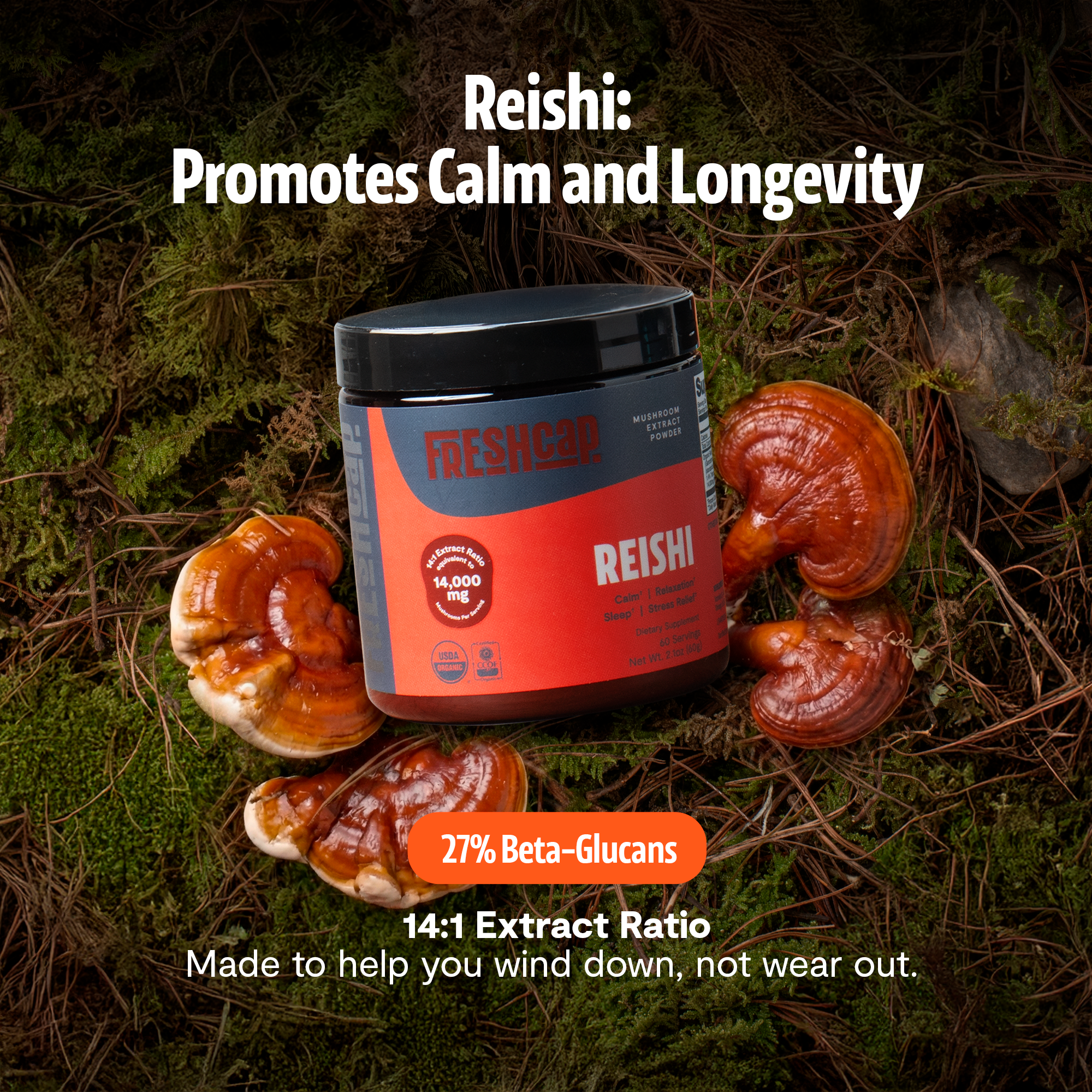 Reishi Mushroom Extract Powder