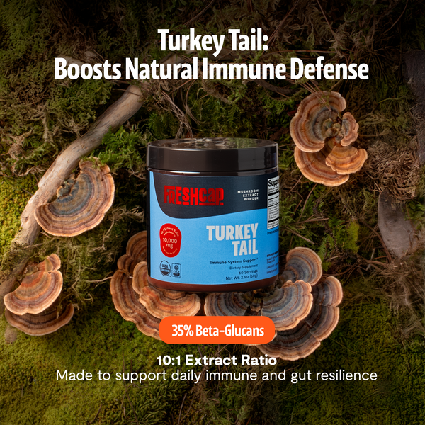 Turkey Tail Mushroom Extract Powder