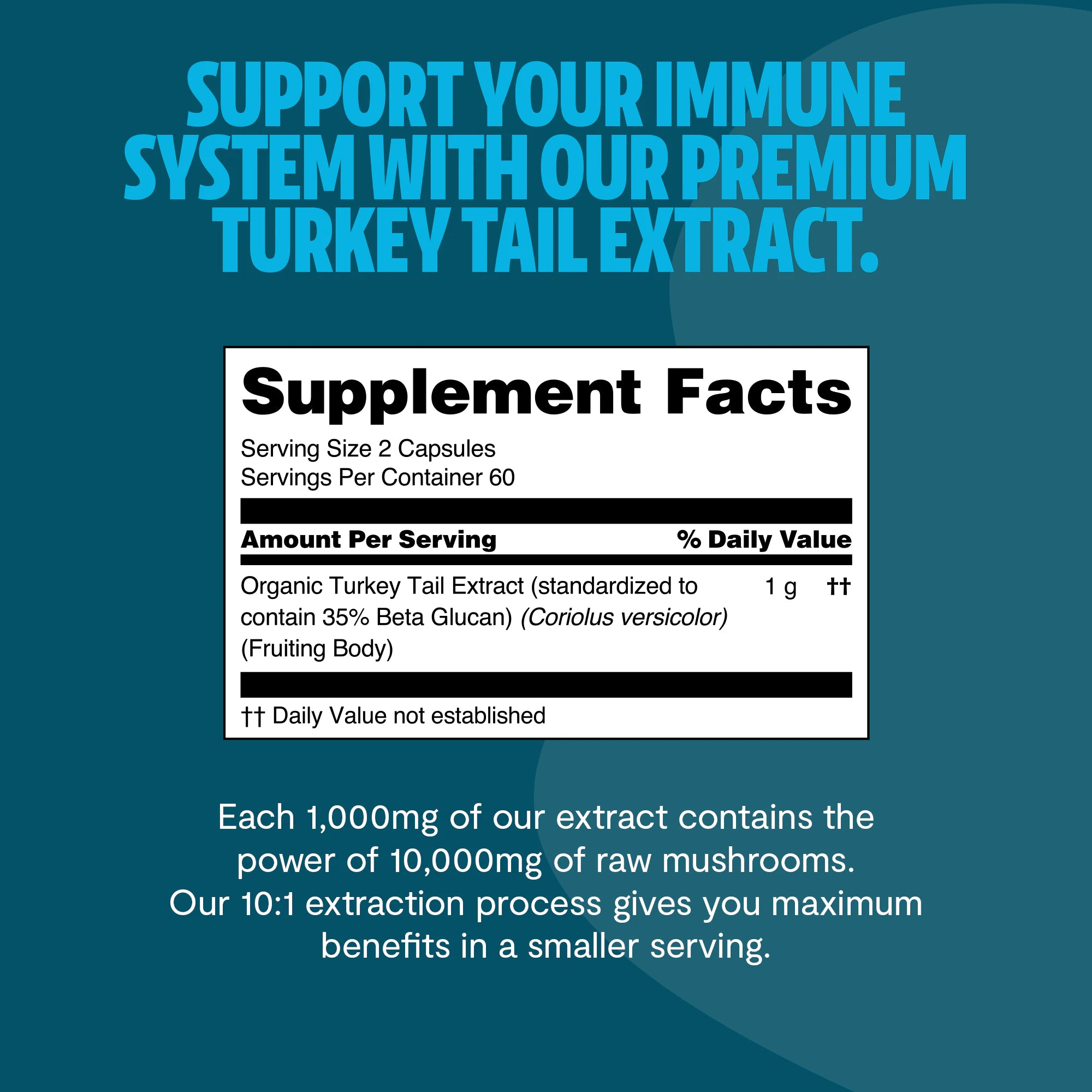 Turkey Tail Mushroom Extract Capsules