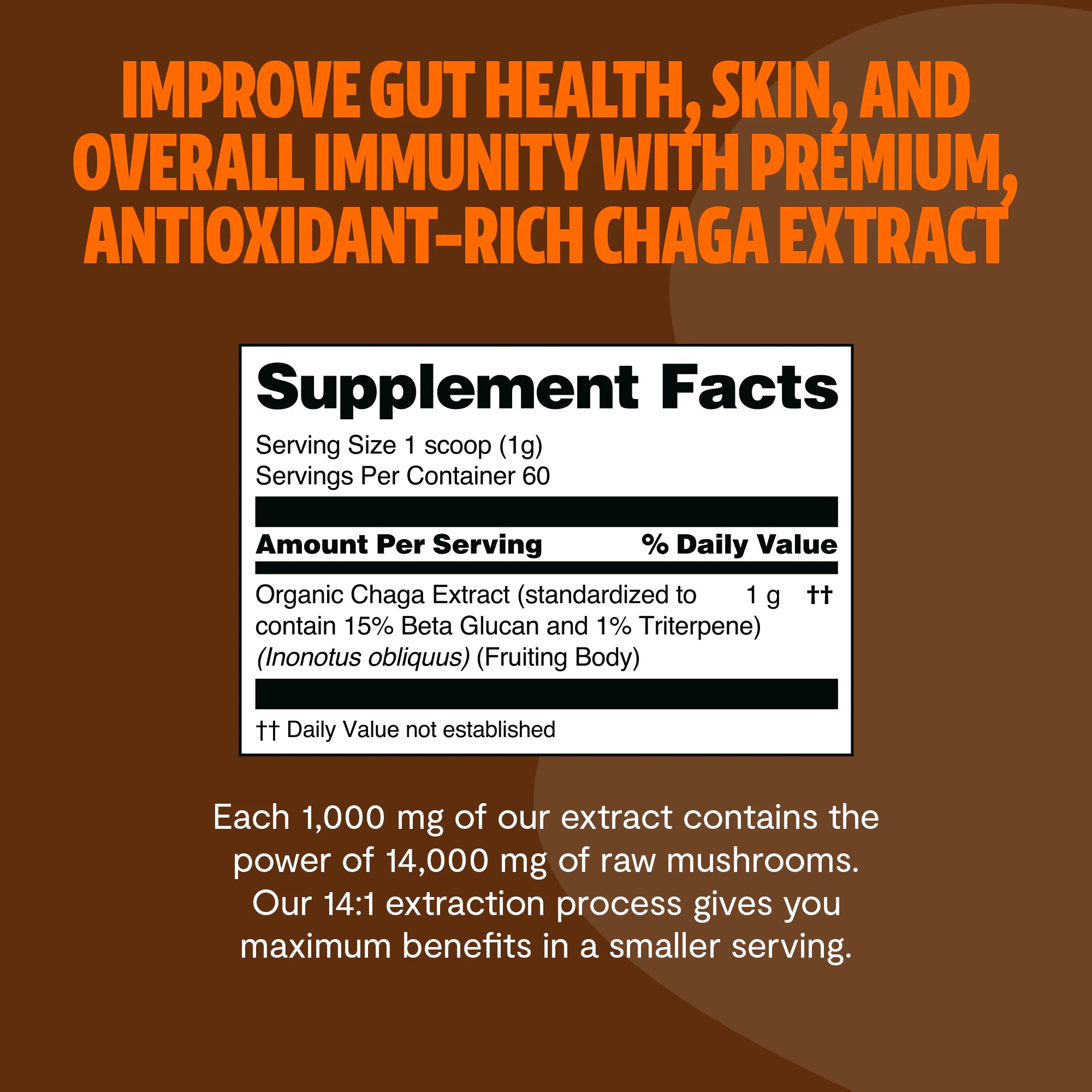 Chaga Mushroom Extract Powder