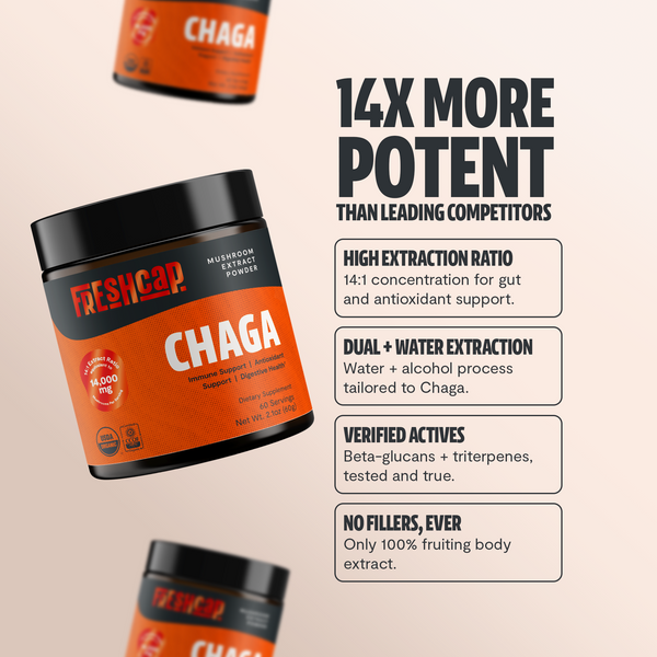 Chaga Mushroom Extract Powder