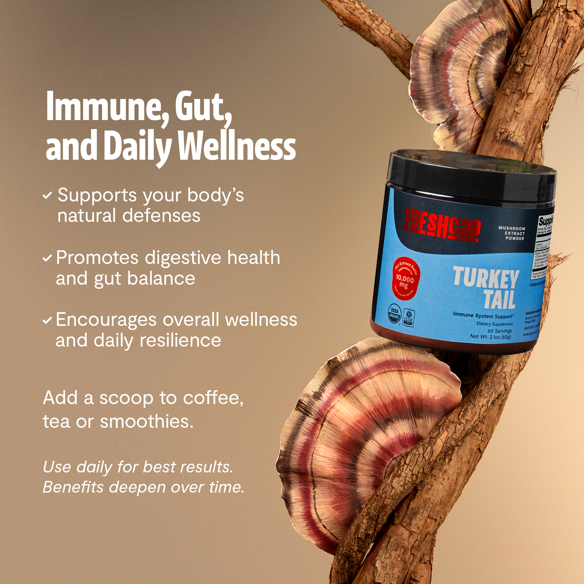 Turkey Tail Mushroom Extract Powder