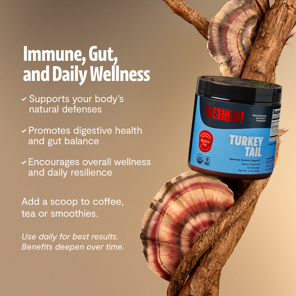 Turkey Tail Mushroom Extract Powder