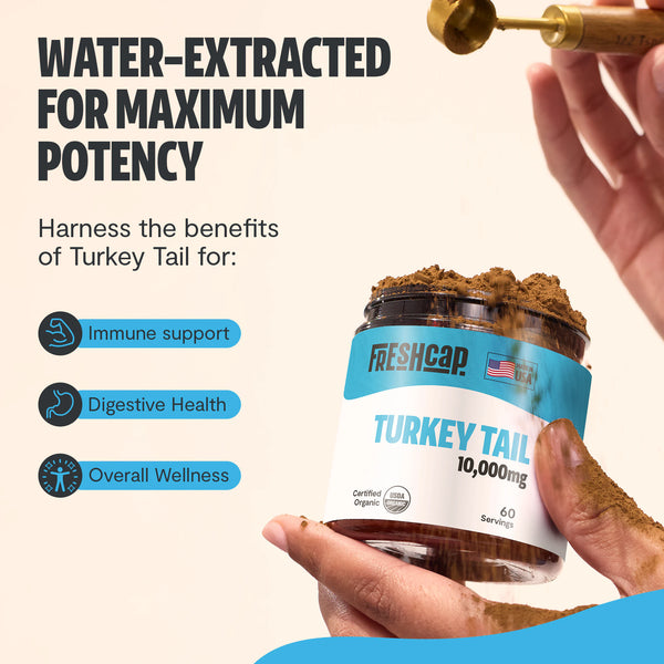 Turkey Tail Mushroom Extract Powder