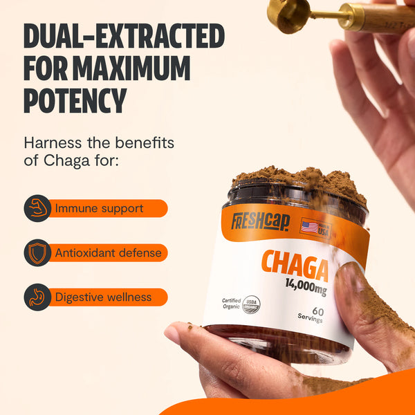 Chaga Mushroom Extract Powder