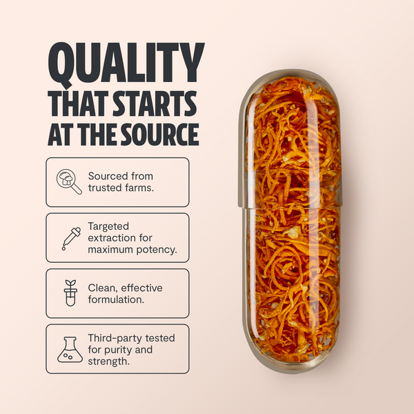 Cordyceps Mushroom Extract Capsules