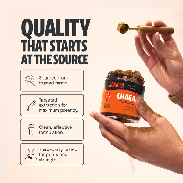 Chaga Mushroom Extract Powder