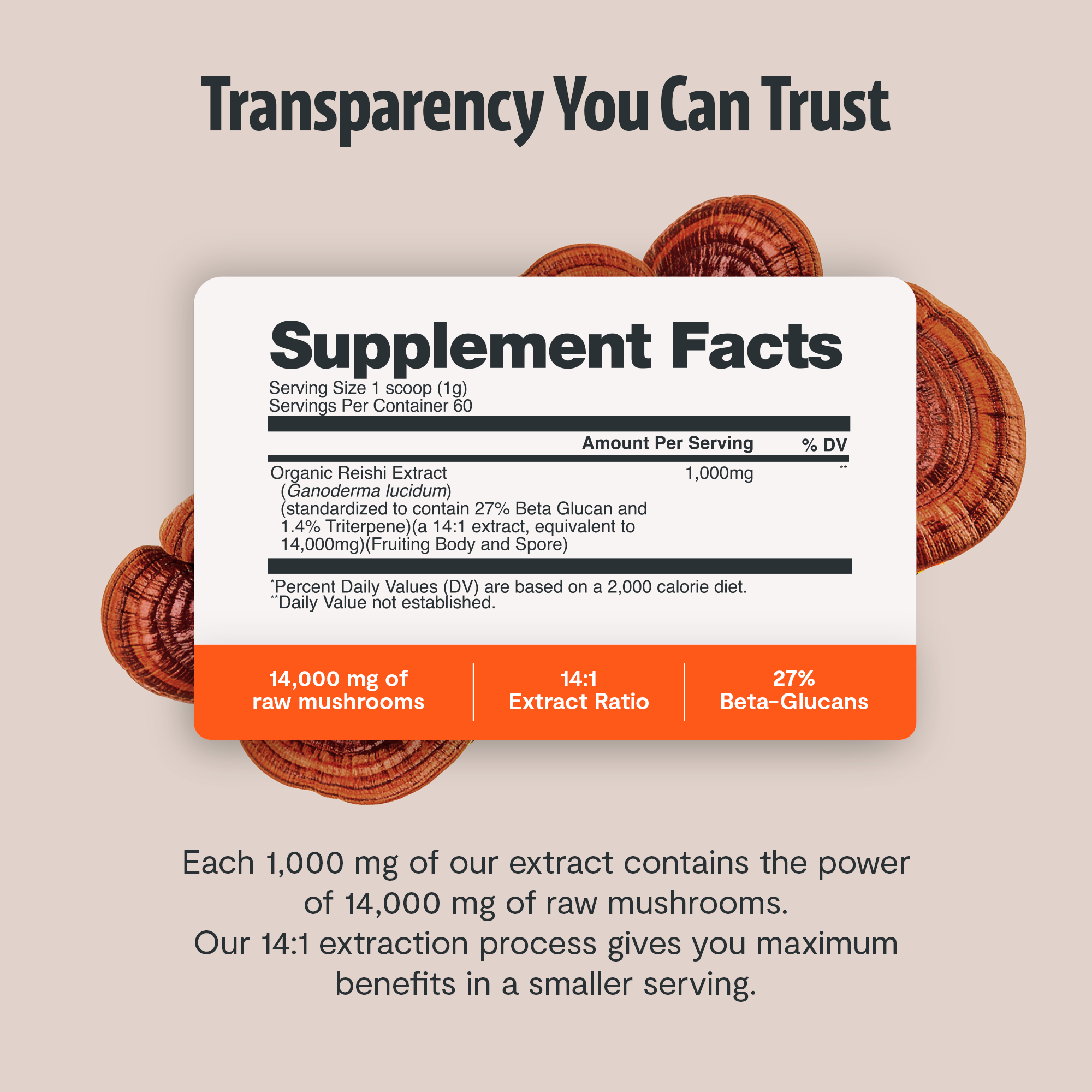 Reishi Mushroom Extract Powder