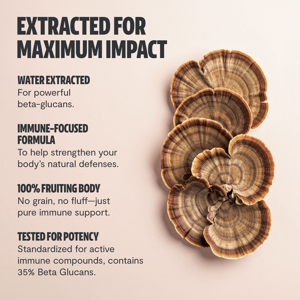 Turkey Tail Mushroom Extract Capsules