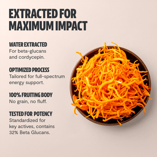 Cordyceps Mushroom Extract Powder