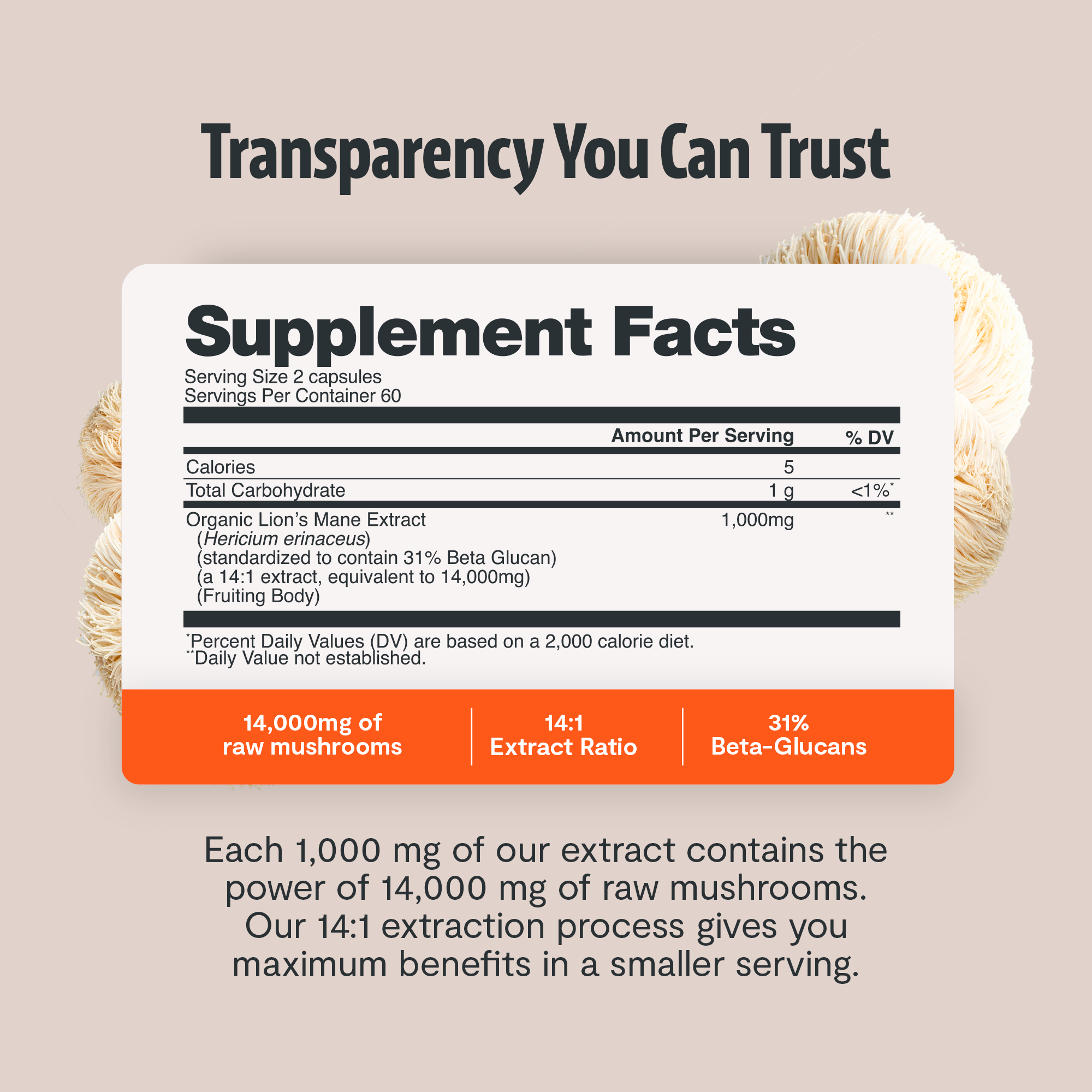 Lion's Mane Mushroom Extract Capsules