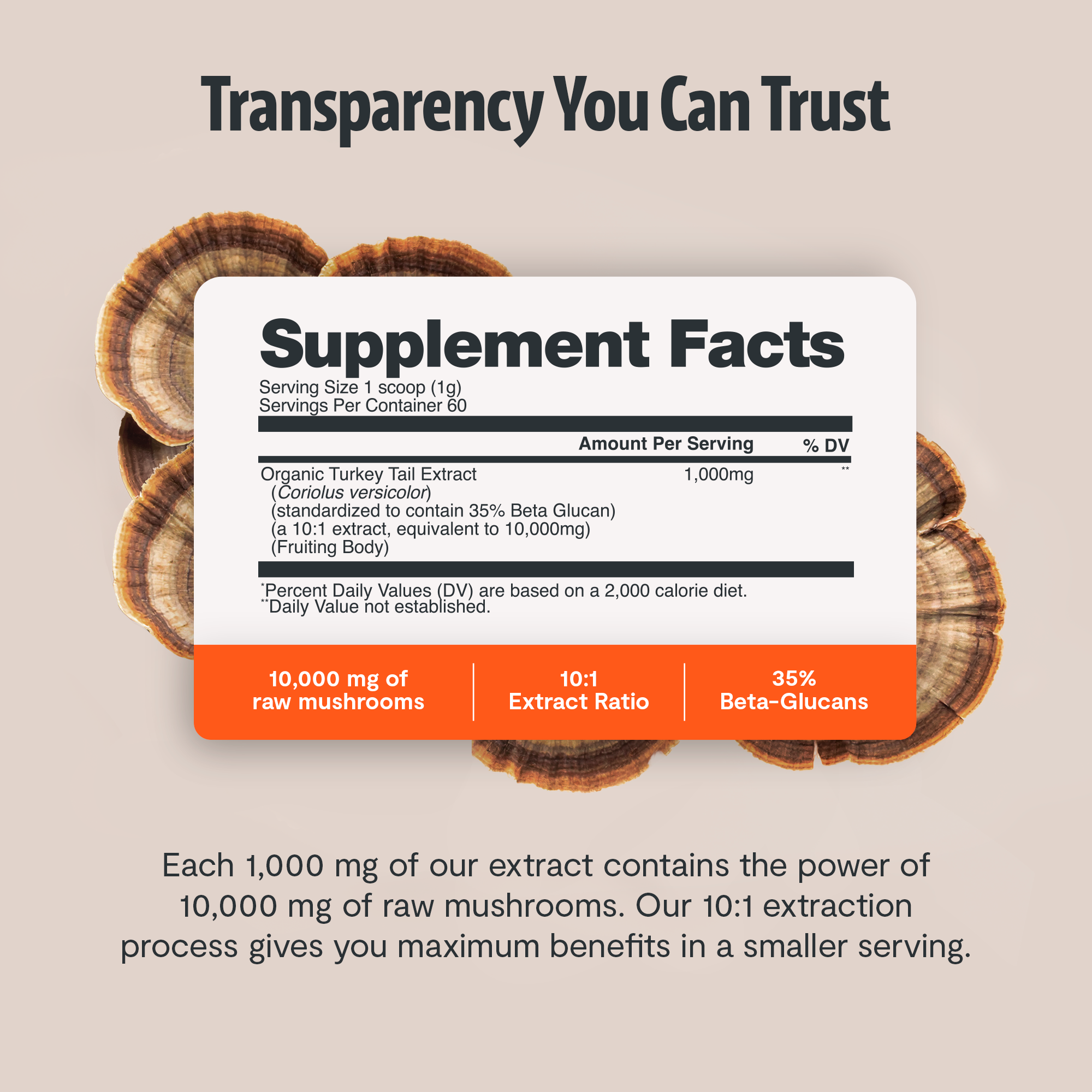 Turkey Tail Mushroom Extract Powder