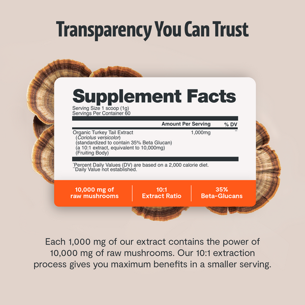 Turkey Tail Mushroom Extract Powder