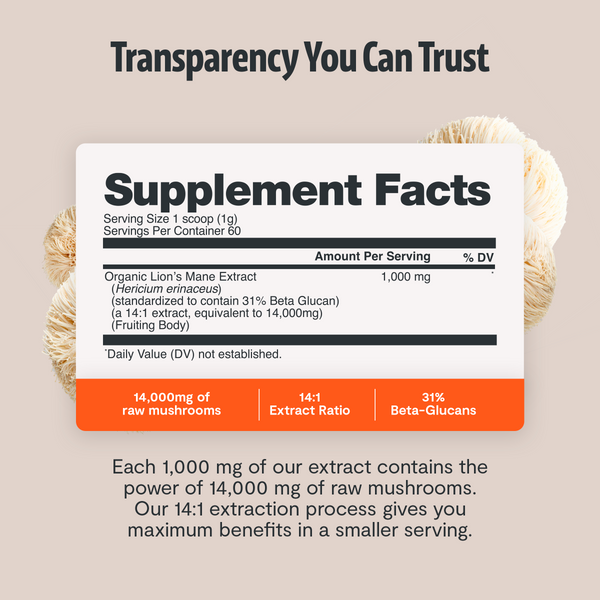 Lion's Mane Mushroom Extract Powder