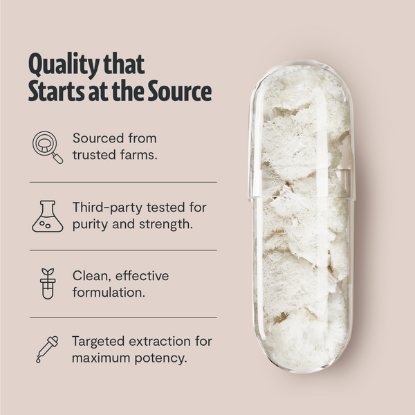 Lion's Mane Mushroom Extract Capsules