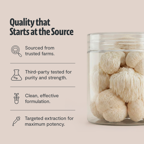 Lion's Mane Mushroom Extract Powder