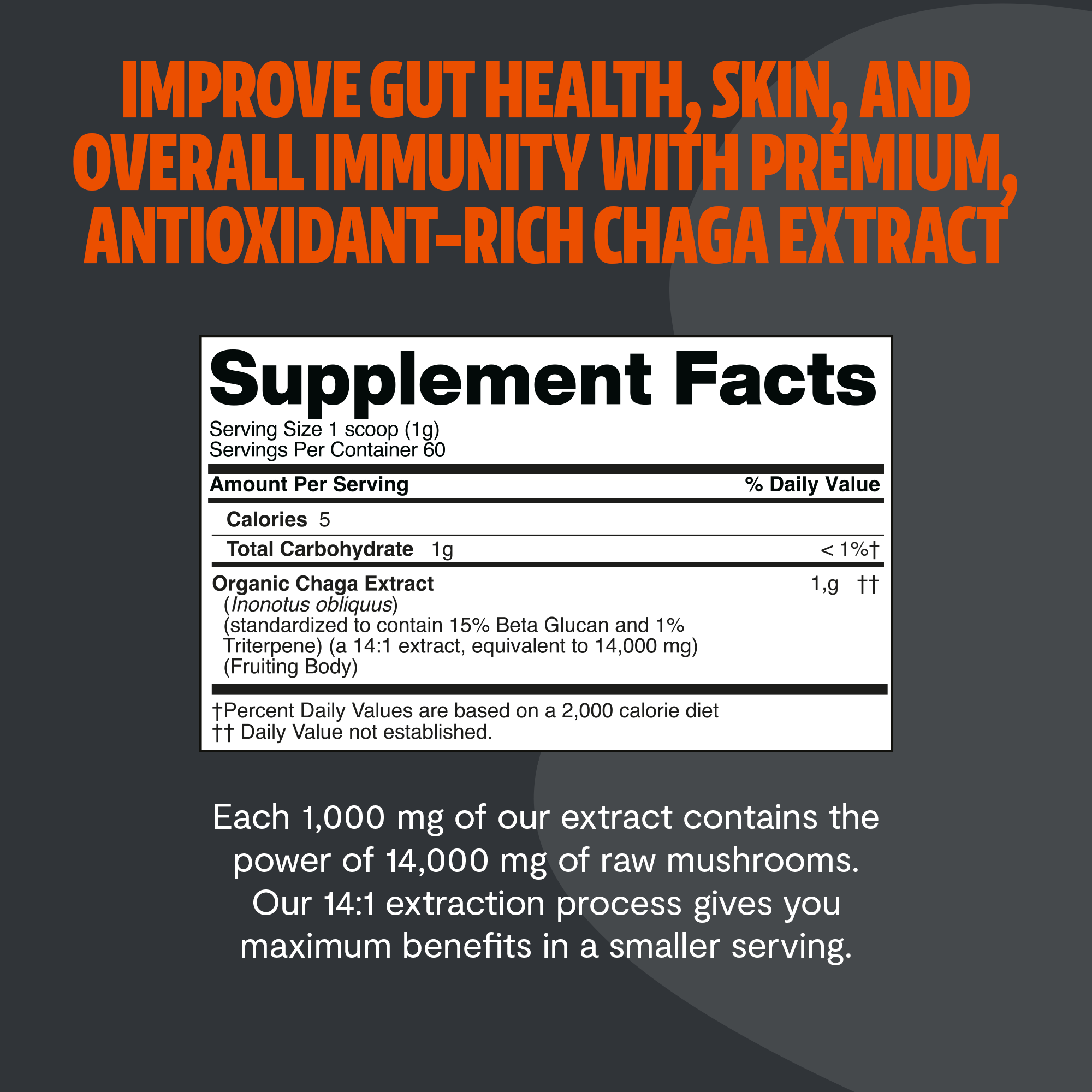 Chaga Mushroom Extract Powder