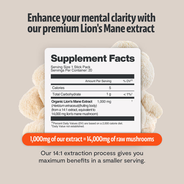 Lion's Mane Mushroom Extract Powder