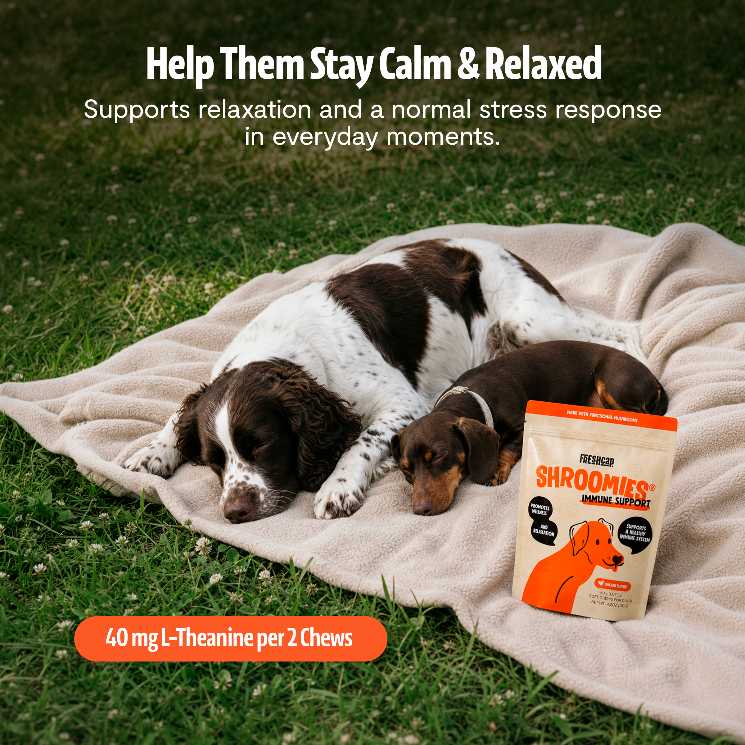 Shroomies Mushroom Chews for Dogs