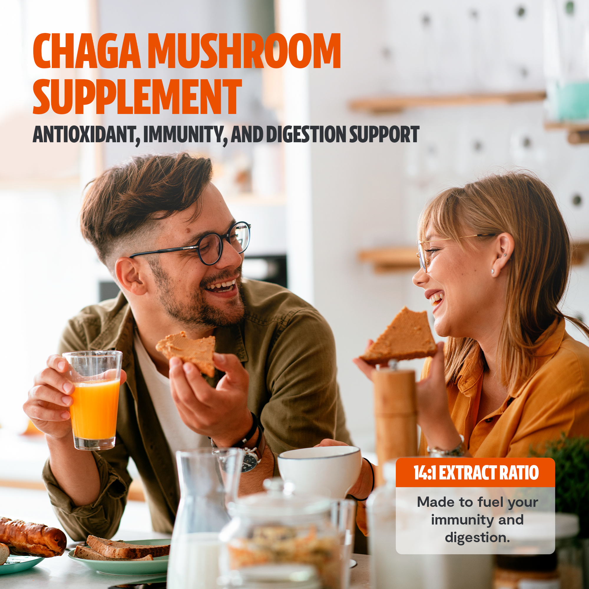 Chaga Mushroom Extract Powder