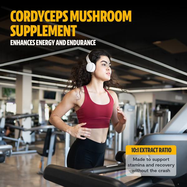 Cordyceps Mushroom Extract Powder