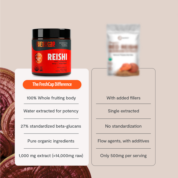 Reishi Mushroom Extract Powder